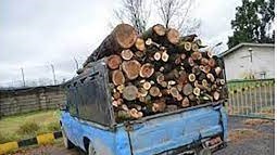 چوب جنگلی قاچاق در دزفول به مقصد نرسید