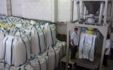 برای اولین بار؛ رکورد روزانه تصفیه شکر در صنعت نیشکر شکسته شد/دکتر ناصری: تاکنون ۱۶۷ هزار تن شکر در واحدهای هشتگانه تولید شده است
