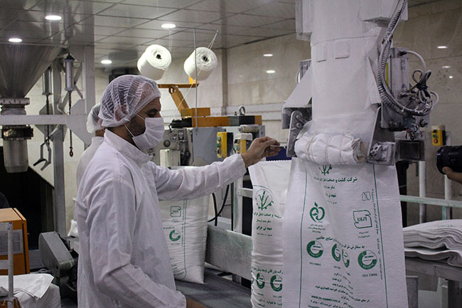 در توزیع شکر در بازار قطره‌چکانی عمل نمی‌کنیم/ روزانه ۲ هزار تن شکر تولیدی نیشکر توزیع می‌شود