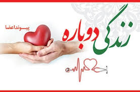 به وقت زندگی؛ روایت‌های واقعی از خط مقدم اهدای عضو