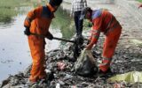 درباره بیچارگی فرهنگ: یک سوزن به خودمان یک جوالدوز به مدیریت شهری؛ جاروهایی که روی اشتباهات ما کشیده می شود