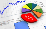 نقش مالیات و اهمیت مشارکت مردم در نظارت بر دولت