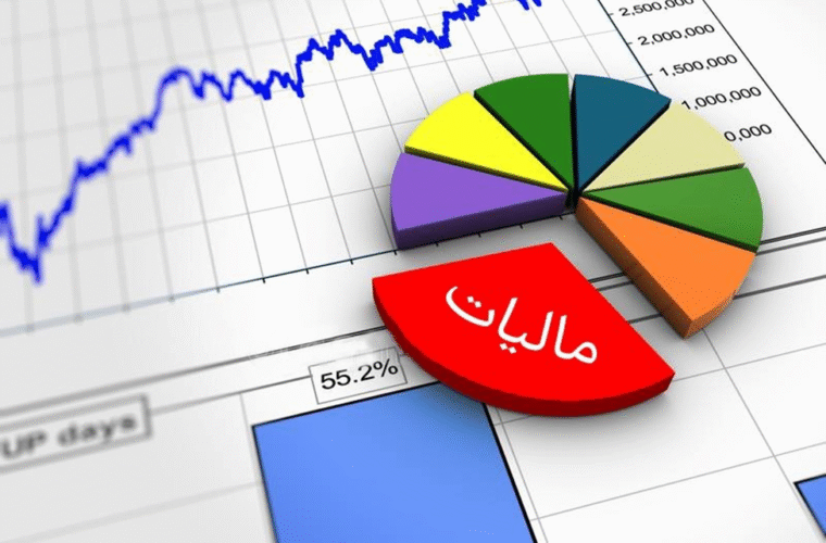 نقش مالیات و اهمیت مشارکت مردم در نظارت بر دولت نقش مالیات و اهمیت مشارکت مردم در نظارت بر دولت